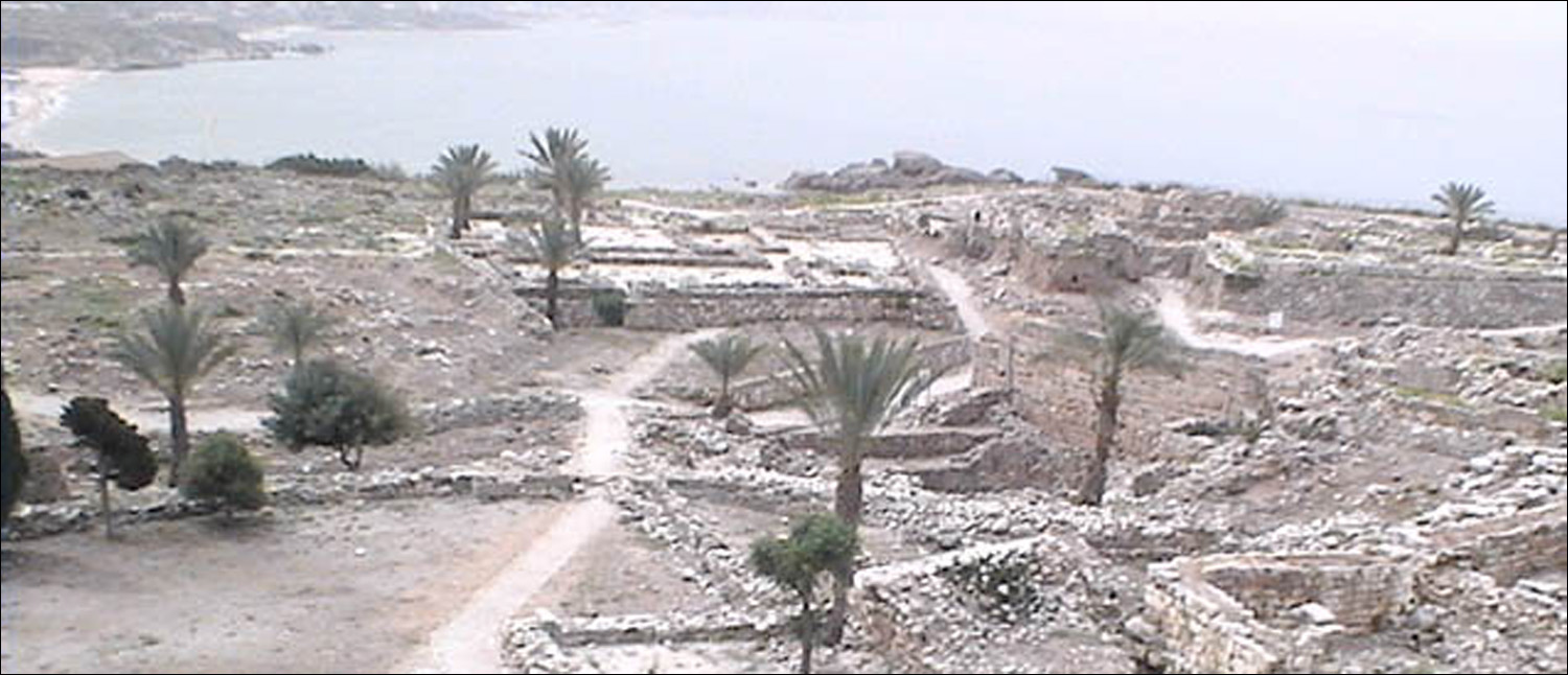 Origin of the Phoenicians The Phoenicians in Phoenicia